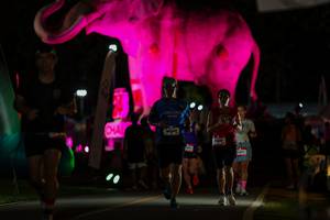 BIB: 
                            <button type="button" onclick="openModal(26530643)" class="btn btn-primary btn-sm float-right btn-popup" data-toggle="modal" data-target=".modal-high-quality">
                        <i class="fas fa-shopping-cart"></i> Add to Cart
                    </button>
                                            <button type="button" onclick="isThisMe(26530643, true)" class="btn btn-success btn-sm float-right btn-popup btn-isme hidden" data-toggle="tooltip" data-placement="bottom" title="นี่คือรูปของคุณใช่ไหม คลิกที่นี่เพื่อเอาเข้าอัลบั้ม">
                        <i class="fas fa-plus"></i> Add to album
                    </button>
                    <button type="button" onclick="isThisMe(26530643, false)" class="btn btn-warning btn-sm float-right btn-popup btn-isnotme hidden">
                        <i class="fas fa-ban"></i> Remove from album
                    </button>